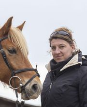 Poney Club Des Cinq Arpents image 5