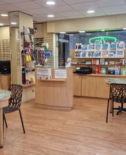 Central Optique image 6