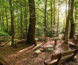 FriedWald Kalletal Bild 9