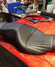 Sellerie Vigneulle image 10