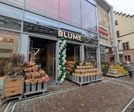 BLUME2000 Freiburg Bild 3