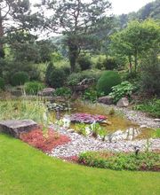 VITA VERDE AG Bild 12