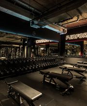 Fitness First Rheinstetten - Hantel Training