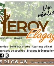 Leroy Elagage image 2