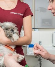 Kleintierpraxis Dr. med. vet. Barbara Rabeling Bild 7