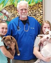Animal Hospital of Beulah image 1