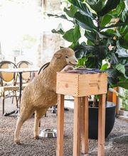 ANTICA OSTERIA DEL PORTO Bild 13