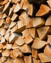 PIGUET STEPHANE SA Bild 5