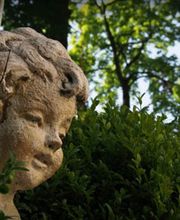 Baumglück Baumpflege GmbH Bild 8