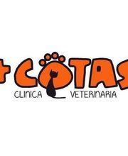LOGO CLINICA MASCOTAS.jpg