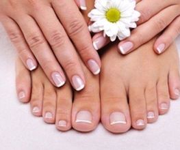 Gallery Cliente