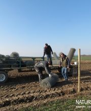 Baum- und Rosenschule Müller Bild 2