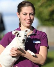 Tierarztpraxis Dr. Michael Wolf Bild 4