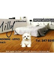 Gallery Cliente