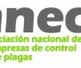almuedo1.jpg