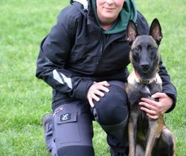 Hundeschule Südwest Bild 1
