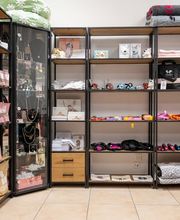 Lina, Hundert Prozent wau, Gesundheit, Training und Unterstützung für Hunde und ihre Menschen, Sandra Egli Bild 6