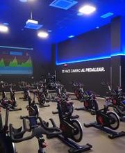 Gimnasio VivaGym Islazul imagen 12