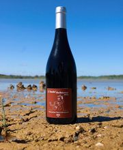 Domaine Ferri Arnaud image 6