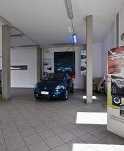 Gallery Cliente