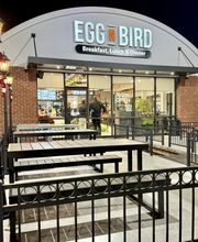 Egg N Bird - Plano image 8