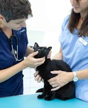 Kleintierpraxis Vivavet GmbH Bild 11