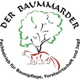 Der Baummarder, Schwethelm