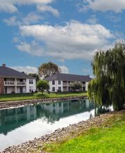 Alexander Court image 17