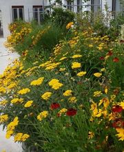 4 saisons SA Bild 13