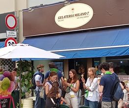 Gallery Cliente