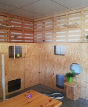 Katzenpension-Pfotentreff-Wenzel Bild 1