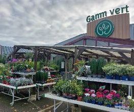 GAMM VERT image 3