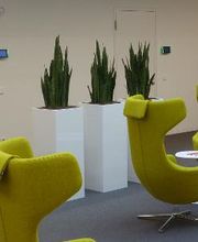 Blumenpanorama Hosch GmbH & Co. KG Bild 7