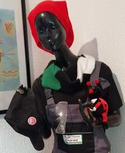 Michael Fleischer Holz- und Bautenschutz GmbH Schädlingsbekämpfung Bild 2