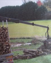 Rozic Daniel image 2