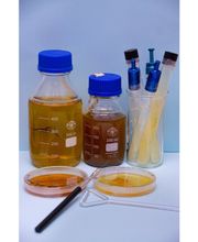 Ludwig-Geißler-Schule Bild 6