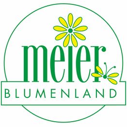 Blumenland Schweiz AG logo