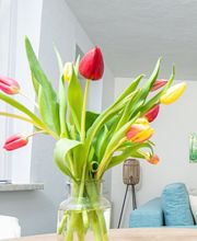 Rennsteig Apartment Ruhla Bild 2