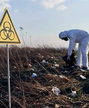 NV Expertises image 1