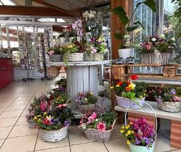 Blumen Haider Bild 10