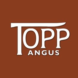 Topp Angus