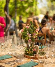 Hortella d'en Cotanet imagen 2