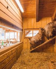 Hotel Restaurant Schönau Bild 3