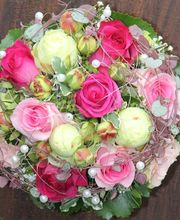 Blumenland Wiedmaier Bild 1