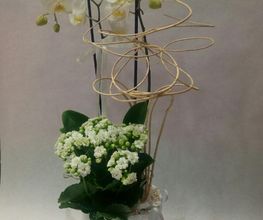 Art Et Nature image 6