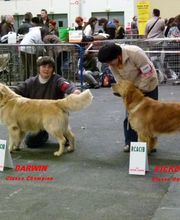 Elevage des Rives de la Bidouze image 5