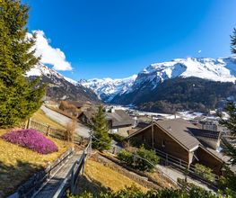 REMAX Immobilien Engelberg Bild 4