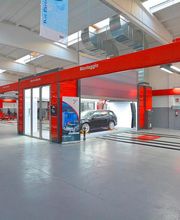 Gallery Cliente