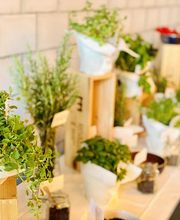 Plus Catering CH Bild 11