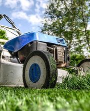 Garten Service Dean Patzelt Bild 3